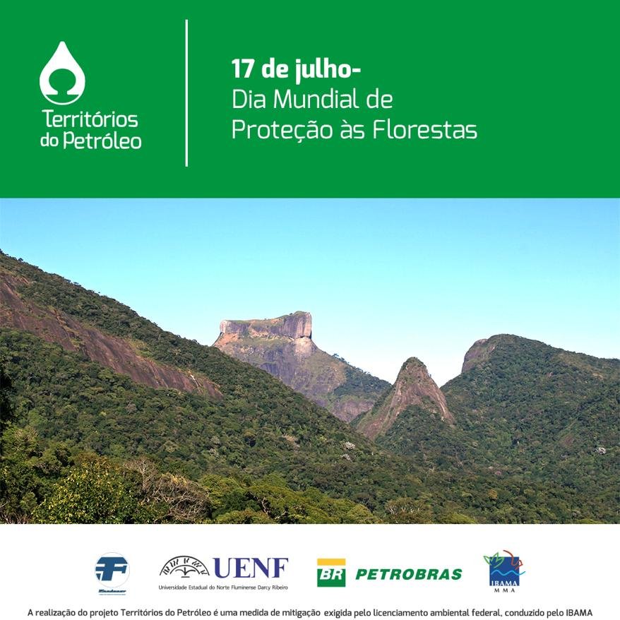 17 de julho – Dia Mundial de Proteção às Florestas